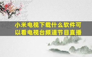 小米电视下载什么软件可以看电视台频道节目直播