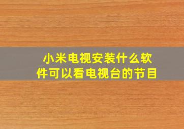 小米电视安装什么软件可以看电视台的节目