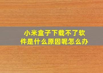 小米盒子下载不了软件是什么原因呢怎么办