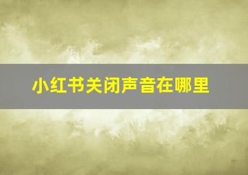 小红书关闭声音在哪里