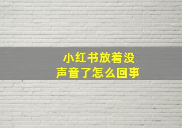 小红书放着没声音了怎么回事