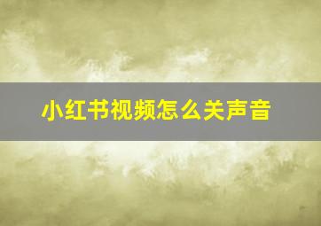 小红书视频怎么关声音