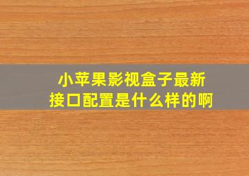 小苹果影视盒子最新接口配置是什么样的啊