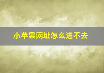 小苹果网址怎么进不去