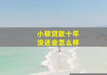 小额贷款十年没还会怎么样