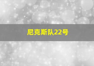 尼克斯队22号