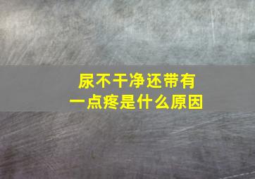 尿不干净还带有一点疼是什么原因