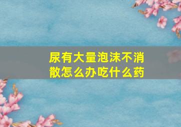 尿有大量泡沫不消散怎么办吃什么药