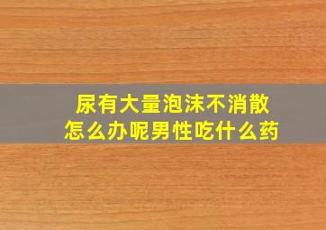 尿有大量泡沫不消散怎么办呢男性吃什么药