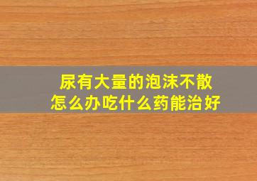 尿有大量的泡沫不散怎么办吃什么药能治好