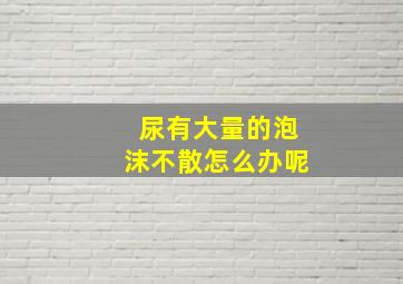 尿有大量的泡沫不散怎么办呢