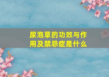 尿泡草的功效与作用及禁忌症是什么