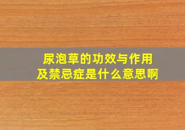 尿泡草的功效与作用及禁忌症是什么意思啊