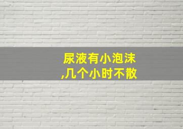 尿液有小泡沫,几个小时不散