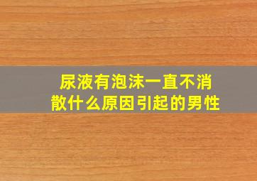 尿液有泡沫一直不消散什么原因引起的男性