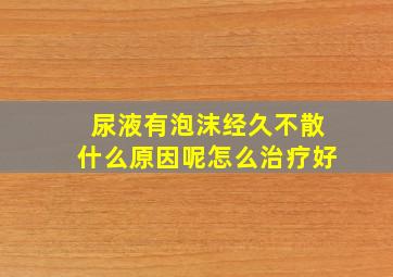 尿液有泡沫经久不散什么原因呢怎么治疗好