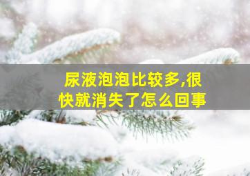 尿液泡泡比较多,很快就消失了怎么回事