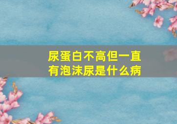 尿蛋白不高但一直有泡沫尿是什么病