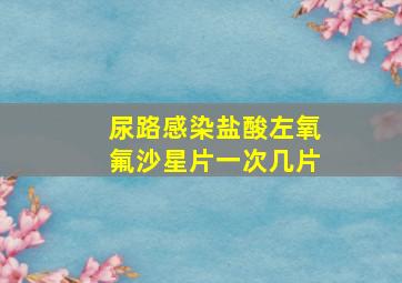 尿路感染盐酸左氧氟沙星片一次几片