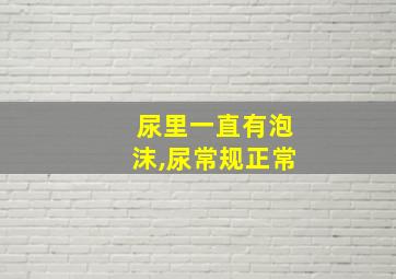 尿里一直有泡沫,尿常规正常