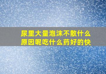 尿里大量泡沫不散什么原因呢吃什么药好的快