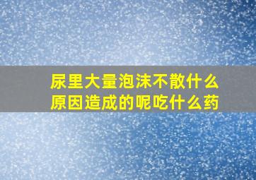 尿里大量泡沫不散什么原因造成的呢吃什么药