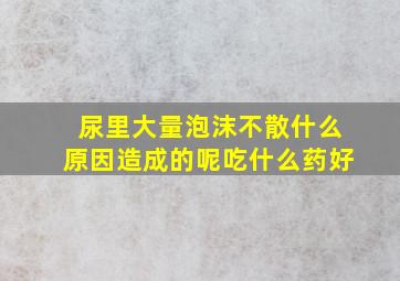 尿里大量泡沫不散什么原因造成的呢吃什么药好