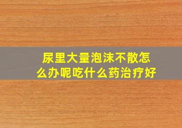 尿里大量泡沫不散怎么办呢吃什么药治疗好