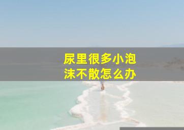 尿里很多小泡沫不散怎么办