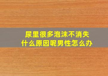 尿里很多泡沫不消失什么原因呢男性怎么办