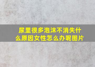 尿里很多泡沫不消失什么原因女性怎么办呢图片