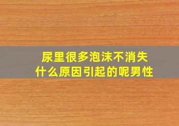 尿里很多泡沫不消失什么原因引起的呢男性