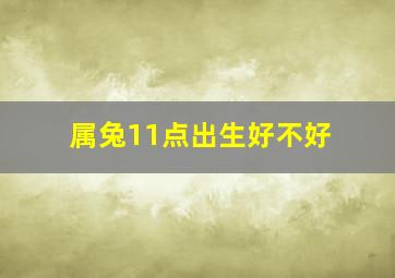 属兔11点出生好不好