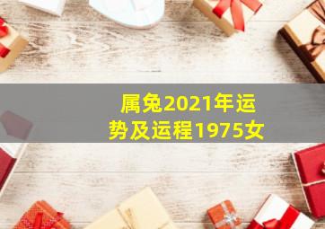 属兔2021年运势及运程1975女