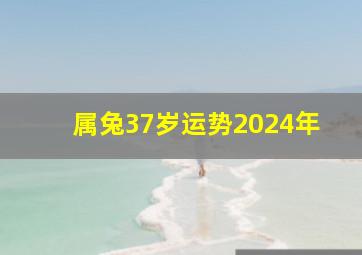 属兔37岁运势2024年