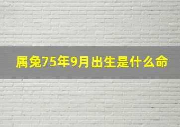 属兔75年9月出生是什么命