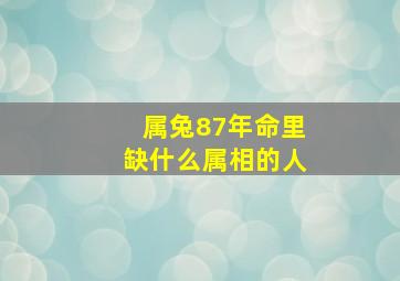 属兔87年命里缺什么属相的人