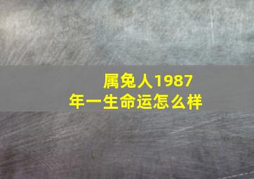 属兔人1987年一生命运怎么样