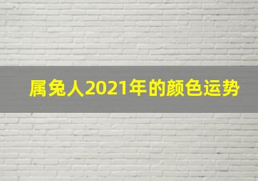 属兔人2021年的颜色运势