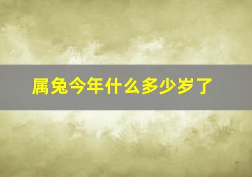 属兔今年什么多少岁了