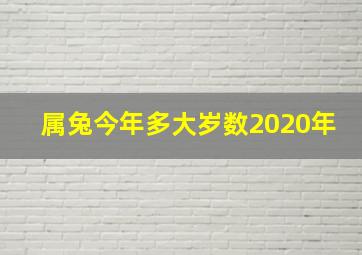 属兔今年多大岁数2020年