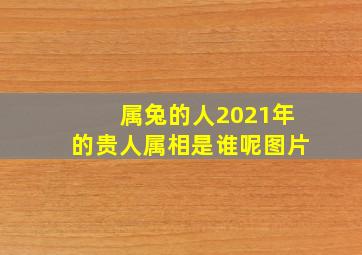 属兔的人2021年的贵人属相是谁呢图片