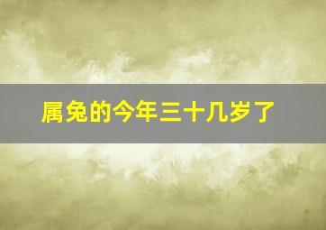 属兔的今年三十几岁了