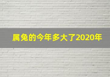 属兔的今年多大了2020年