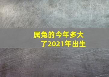 属兔的今年多大了2021年出生