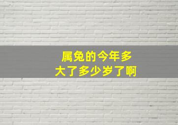 属兔的今年多大了多少岁了啊