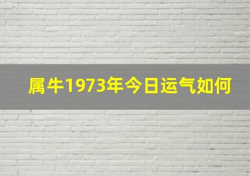 属牛1973年今日运气如何