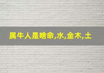 属牛人是啥命,水,金木,土