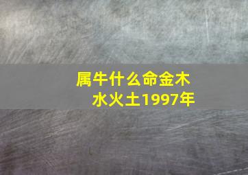 属牛什么命金木水火土1997年