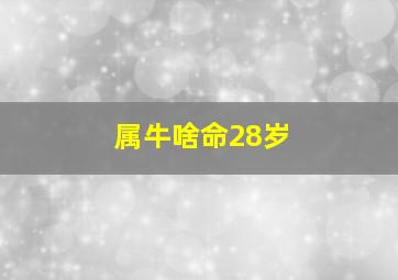 属牛啥命28岁